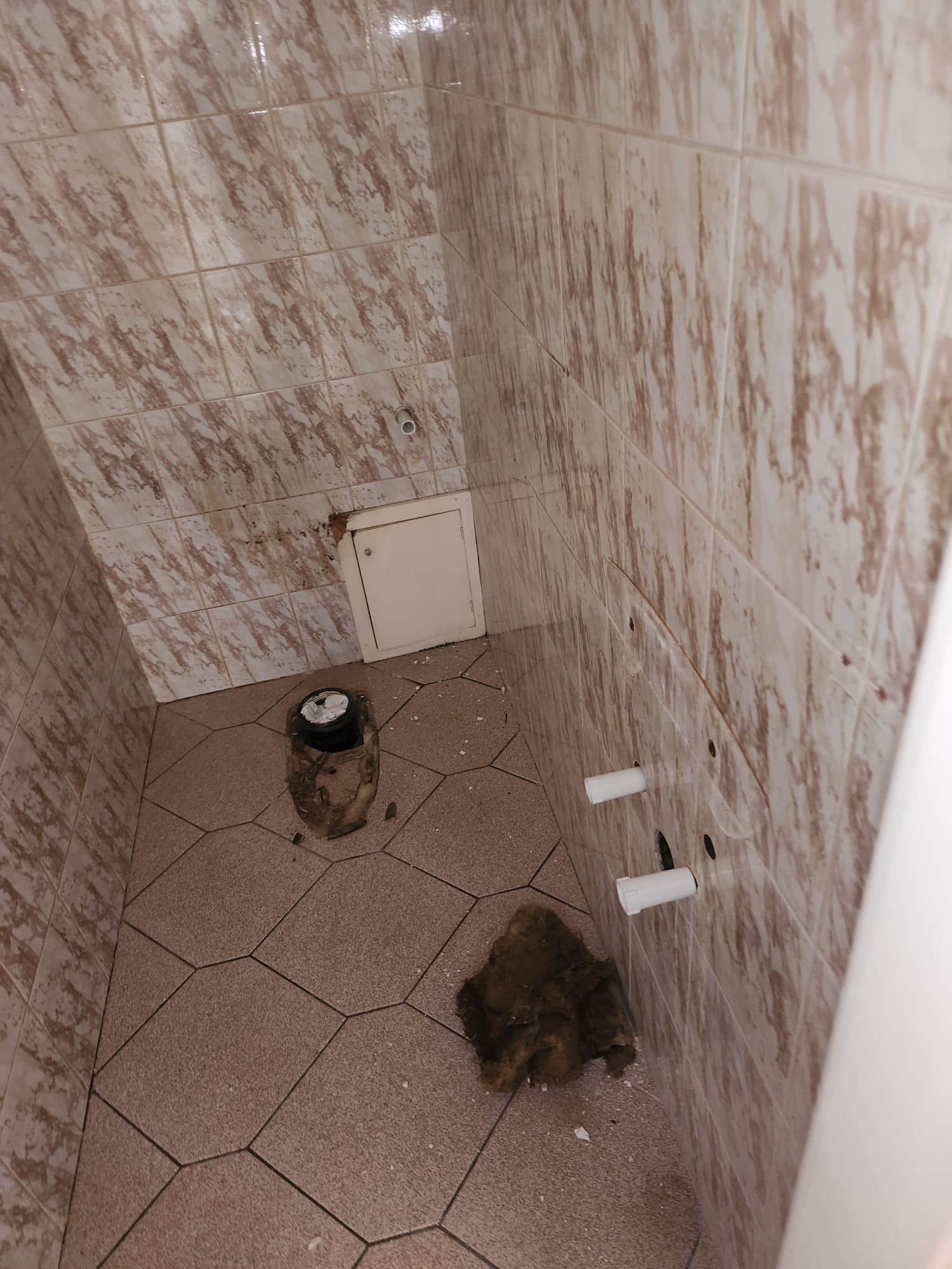 Toilettes avant transformation